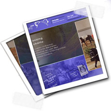 Zum Voltigiergurt Lensing